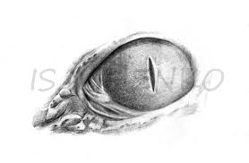 Animal pencil drawings offer so much variety so where do we start? Professionally Pencil Draw Animals By Daria Isachenko