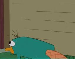 Check spelling or type a new query. Perry Mocks Candace Animated By Jaycasey Phineas And Ferb Phineas And Ferb Memes Perry The Platypus