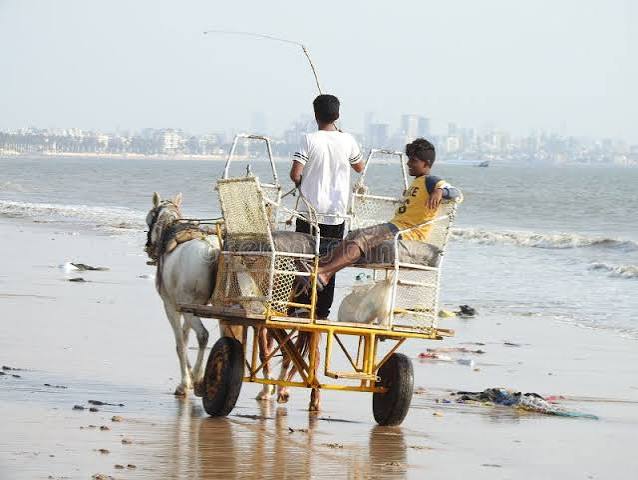 Horse Drawn Carriage on the Beautiful and Cleaned Up Versova Beach Mumbai Editorial Image - Image of versova, beautiful: 163417720