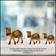 CraftedIndia Wooden Camel Showpiece Set of 3 for Home Deco