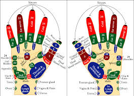 Sujok Therapy Points Google Search Hand Reflexology