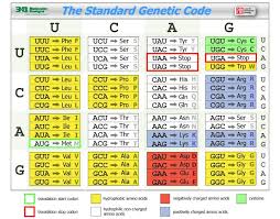 Genetic Code Chart Science Biology Coding Genetics