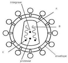 All living things are made of cells. Question 3 Revision Science