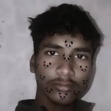 Photos by chotu (@penguin.600373) · January 19, 2026