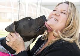 Are you breaking the law with your dog? Orange County averages more than  four dog bites a day