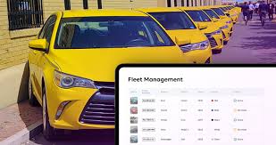 Image result for Yellow 2018 Fleet