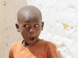 Global Glimpses: Lamu, Kenya