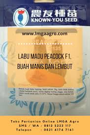 Labu Madu Peacock F1 Buah Manis Dan Lembut Di 2020 Labu Madu Madu Benih