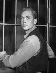 We did not find results for: Robert Montgomery Jr Imdb