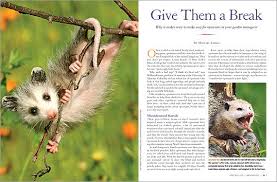 Pin On Parkway Pumas Lego League 2016 2017