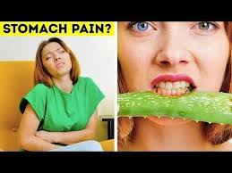 15 Ways To Use Aloe Vera Youtube Aloeverabeautyhacks Aloe Vera Beauty Hacks Aloe Aloeverabeautyhacks Beauty Hacks Ve Haare Pflegen Aloe Vera Pflege