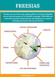 Freesia Flower Symbolic Meaning Freesia Flowers Freesia Popular Flowers