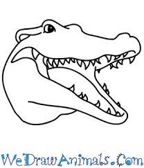 Use these alligator head png. How To Draw A Crocodile Face