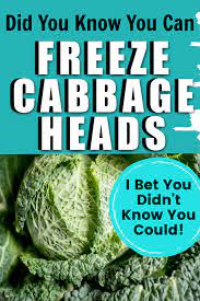 Step By Step Guide Freeze Fresh Cabbage Heads Family Growing Pains In 2020 Frozen Fresh Freezing Vegetables Freezing Cabbage