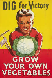 We did not find results for: Wartime Victory Gardens Were Popular Food Source Except In Waterloo Region Cbc News