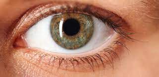 La catarata en un ojo puede estar más avanzada que la otra, causando una diferencia en la visión entre los ojos. Que Son Las Cataratas Como Se Forman Y Como Evitarlas