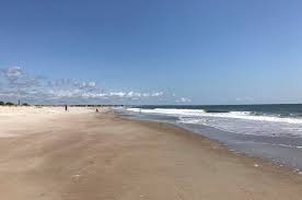 Edisto beach state park is large with 1,255 acre to explore. Edisto Beach State Park Edisto Island Sc Pet Friendly Travel