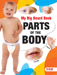 Kata tak nak other contents: My Big Board Book Parts Of The Body Animal Kingdon Bpi India 9788184971576 Amazon Com Books