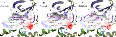 Image result for ROS1 Inhibitor
