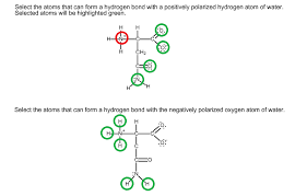 Explaining hydrogen bonding in h2o with the help of 3d animated diagrams.topics covered in a video: Which Atoms In A Given Amino Acid Are Able To Form Hydrogen Bonds With Water Chemistry Stack Exchange