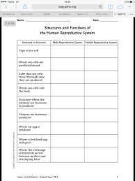 Pin On Facs Child Development Family Living
