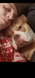 It is with great sadness that we have to say goodbye to one of our  supporters and "dog mums".Janie and Iain adopted Lawless from Wolfies  legacy nearly two years ago,since then she