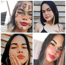 Bisteros y bucheras automáticas de quillotina en el cotorro