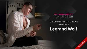 Im nominated for Director of the Year You can vote for me Fleshbot Gay  Awards : uLegrandWolf