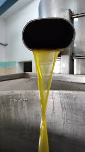 اكتشف موسم جني الزيتون في الجنوب التونسي