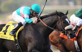 Nicholas managed to be both a saint and a bureaucrat (answer b ). Winx Quiz The Answers Thoroughbred Racing Commentary