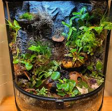 Vivarium Mini approx. 12x12x18 | Urban Animal Pet Services