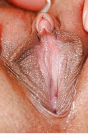 Крупно женских половых органов и клитора (60 фото) - секс и порно  chohanpohan.com