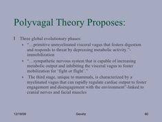 Polyvagal Theory Diagram