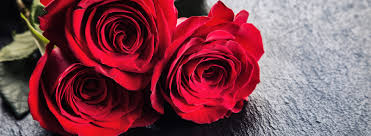 Werden nach absprache gesondert berechnet. Blumen Gertzmann Grabpflege