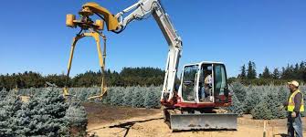 Image result for tree spade