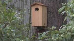 If you are using mobile phone, you could also use menu drawer from browser. How To Build A Wood Duck Nest Box Feltmagnet