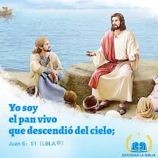 Yo Soy El Pan Vivo Que Descendio Del Cielo Juan 6 51 Lbla Reflexioncristianaparahoy Lecturasdehoy Lect Evangelio De Hoy Evangelio Versiculos Biblicos