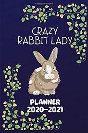 Planner 2020 2021 Crazy Rabbit Lady Two Year Daily Weekl Https Www Amazon Com Dp 1699709785 R Calendar Monthly Planner Gratitude Journal Planner Calendar