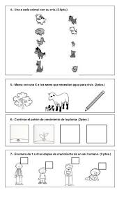 Sexto |contenido sus resultados fueron analizados e incorporados previo al proceso de generalización en todo el país. Ciencias Prueba Primer Ano Ciencia De Primer Grado Prueba De Ciencias Naturales Ciencias De La Naturaleza