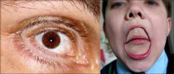 art Photo Gallery by eminilia at pbase.com