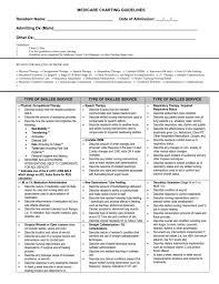 Medicare Charting Guidelines