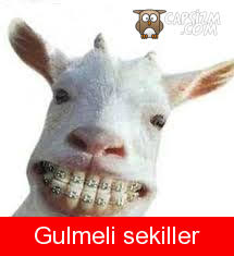 Gulmeli sekiller