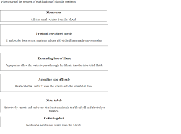 Draw Flow Chart To Depict Theprocess Of Purification Of Blood In