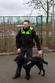 Bekijk meer ideeën over antwerpen op zijn mooist in nieuw fotoboek. Eerste Dynamische Explosievenhond Voorgesteld Politiezone Antwerpen