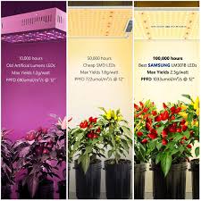 Root farm grow light lumens. Buy Spider Farmer Sf 1000 Led Grow Light Use With Samsung Lm301b Leds Daisy Chain Dimmable Full Spectrum Grow Lights For Indoor Plants Veg Flower Greenhouse Growing Lamps With Meanwell Driver Online In