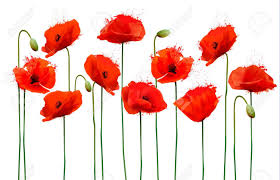 Framedart.com has been visited by 10k+ users in the past month Abstract Background With Red Poppies Flowers Vector Royalty Free Cliparts Vectors And Stock Illustration Image 60692154