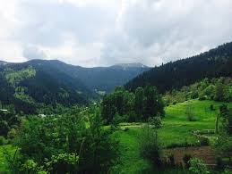 Artvin ilinde bir yayla, bilbilan yaylası, artvin ili ardanuç ilçesinde yer alan bilbilan yaylasına, ardanuç ilçesinden doğuya 51 km. Artvin Savsat Yayla Bali Posts Facebook
