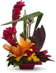 Whether you want to make your own leis with our exclusive lei making kit, or send someone you love a fresh orchid bouquet & lei, we'll help make it extra special and deliver your hawaiian flowers and tropical foliage with aloha. Tropical Flowers Meaning Symbolism Teleflora