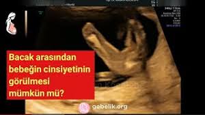 tum gebelik haftalari bir arada 9 ay 10 gun 40 hafta ozeti