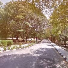 So essential to have a beautiful green lung in the heart of ttdi. Taman Rimba Kiara Parks Taman Tun Dr Ismail Kuala Lumpur Malaysia